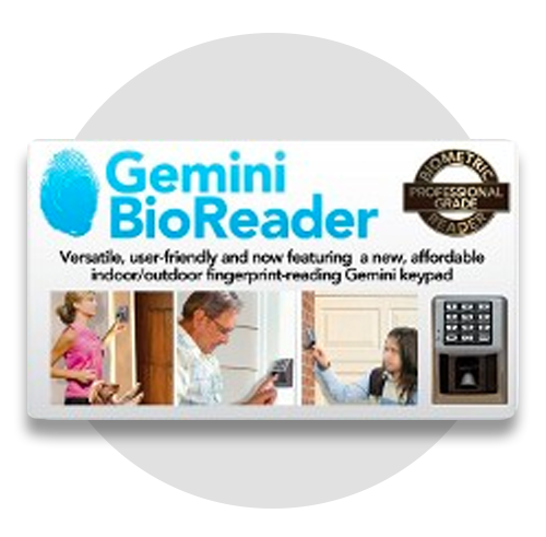 gemini